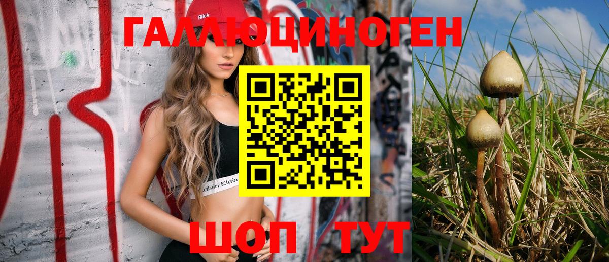 Псилоцибиновые грибы GOLDEN TEACHER  Вход с VPN  Галлюциногенные грибы ЛСД  где продают   Отрадный 